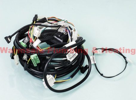 REMEHA 7225200 CABLE SET ERP