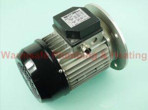 Worcester Bosch Riello Motor 3003967