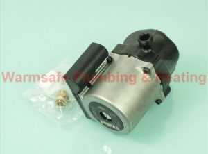 Vaillant 161107 pump